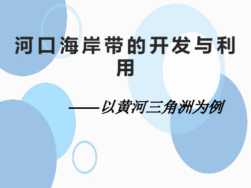 地理复习小专题：河口三角洲与海岸线变迁——以黄河三角洲地区为例