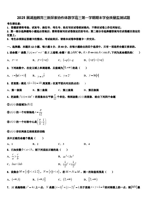 2025届湖湘教育三新探索协作体数学高三第一学期期末学业质量监测试题含解析