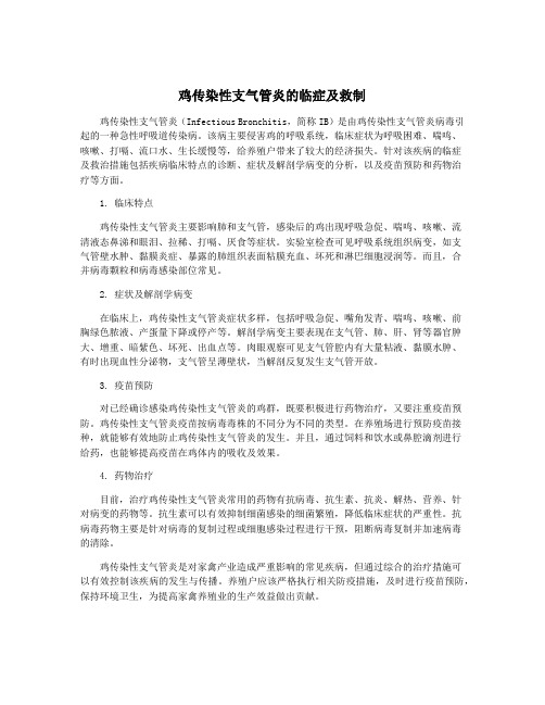 鸡传染性支气管炎的临症及救制