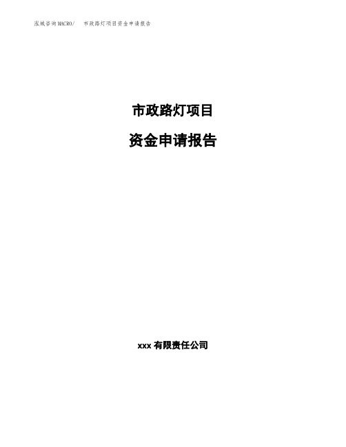 市政路灯项目资金申请报告