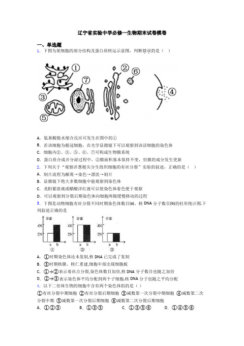 辽宁省实验中学必修一生物期末试卷模卷