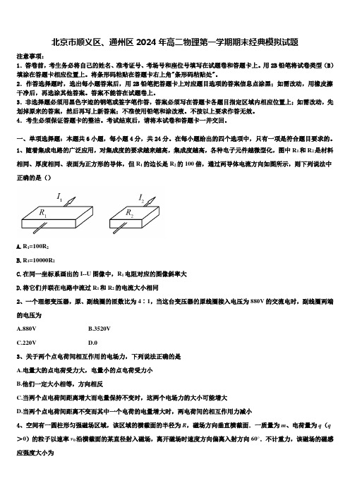 北京市顺义区、通州区2024年高二物理第一学期期末经典模拟试题含解析