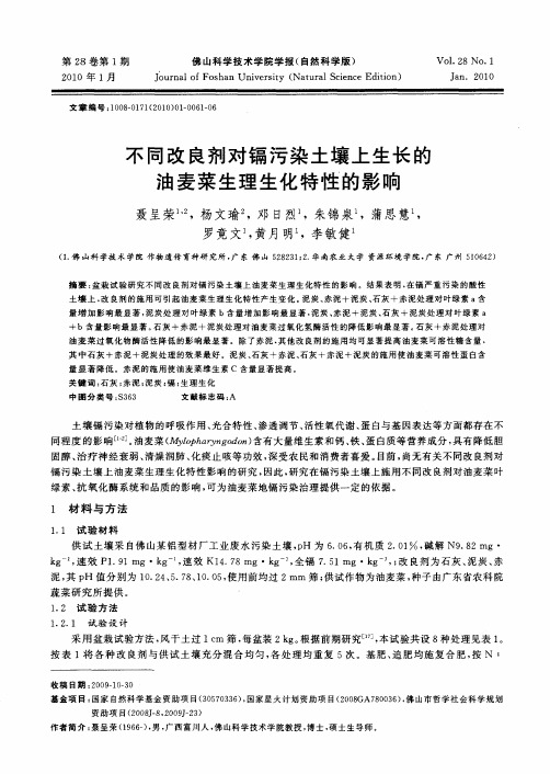 不同改良剂对镉污染土壤上生长的油麦菜生理生化特性的影响