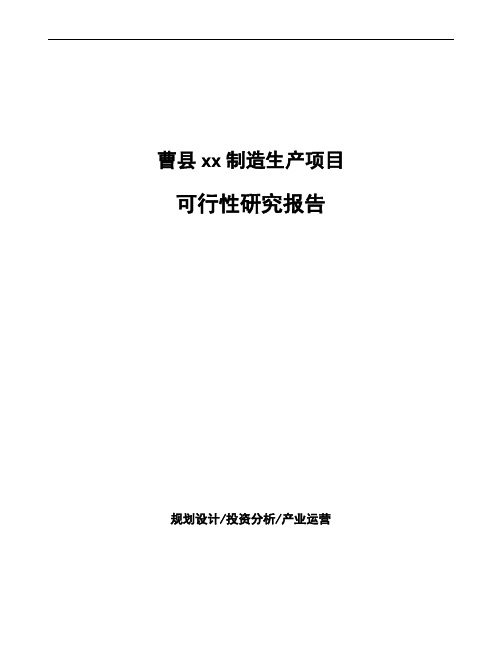 曹县项目可行性研究报告(立项申请报告)