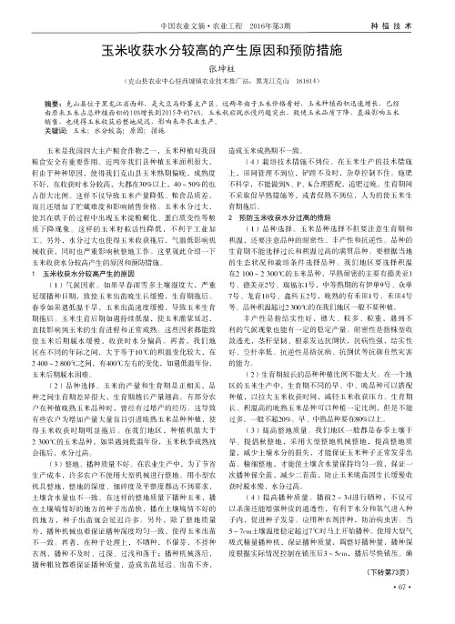 玉米收获水分较高的产生原因和预防措施