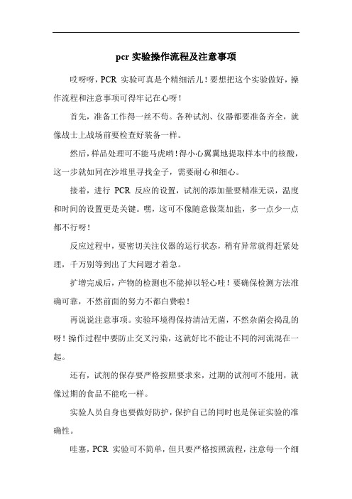 pcr实验操作流程及注意事项