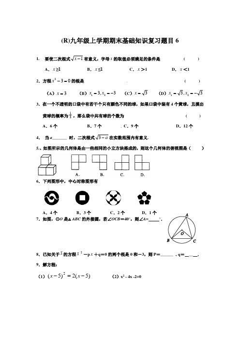 (R)九年级上学期期末基础知识复习题目6