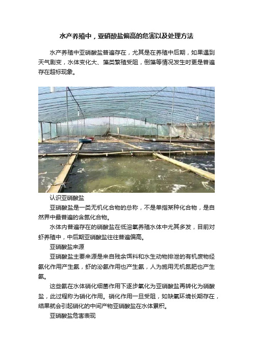 水产养殖中，亚硝酸盐偏高的危害以及处理方法?