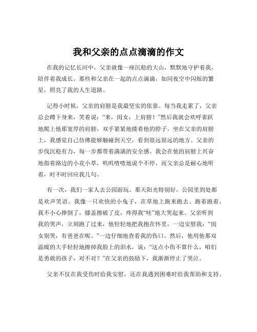 我和父亲的点点滴滴的作文