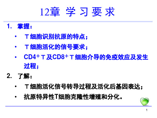 免疫学-T细胞应答PPT幻灯片课件