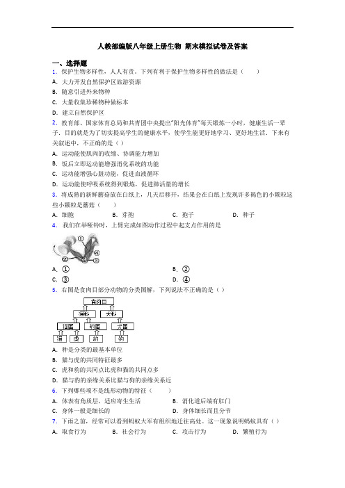 人教部编版八年级上册生物 期末模拟试卷及答案