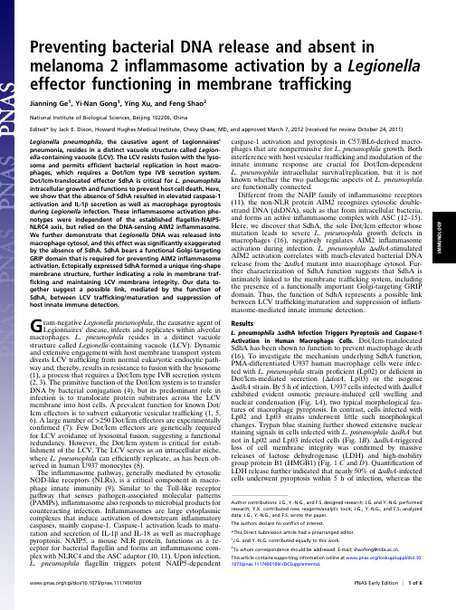 Preventing bacterial DNA release and absent in melanoma 2 inflammasome activation