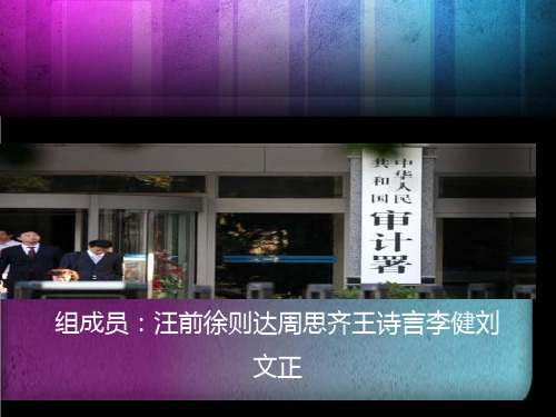 政府审计概述(PPT 37张)