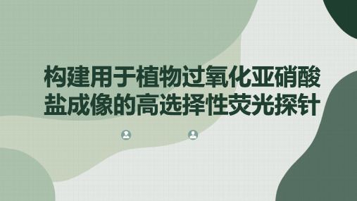 构建用于植物过氧化亚硝酸盐成像的高选择性荧光探针