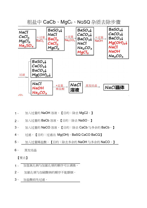 粗盐中可溶性杂质的去除方法专题训练(无答案)