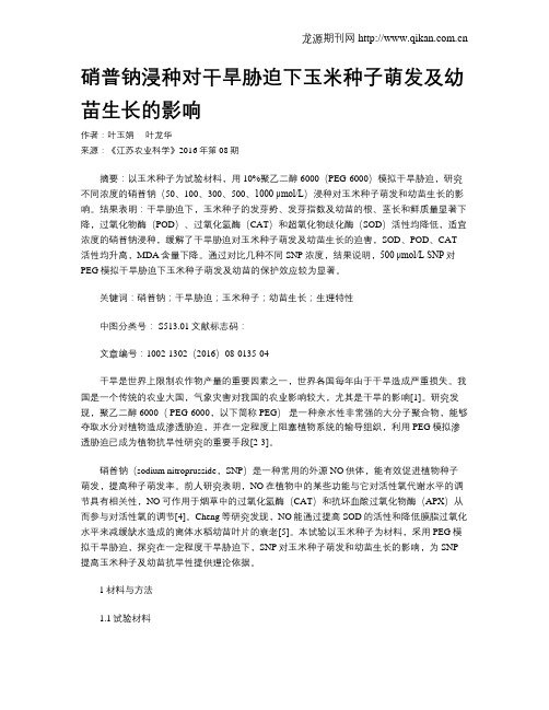硝普钠浸种对干旱胁迫下玉米种子萌发及幼苗生长的影响