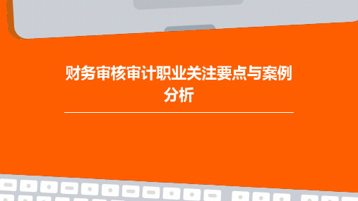 财务审核审计职业关注要点与案例分析