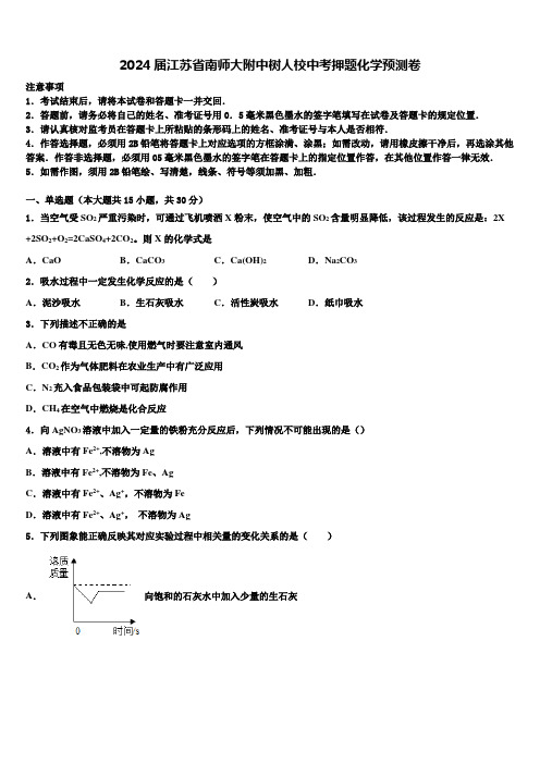 2024届江苏省南师大附中树人校中考押题化学预测卷含解析