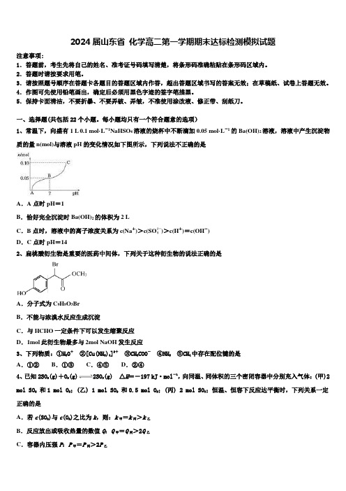 2024届山东省 化学高二第一学期期末达标检测模拟试题含解析