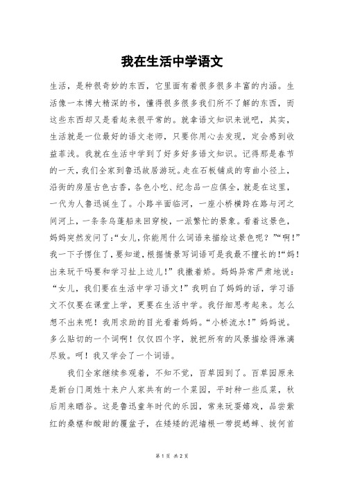 我在生活中学语文_高二作文