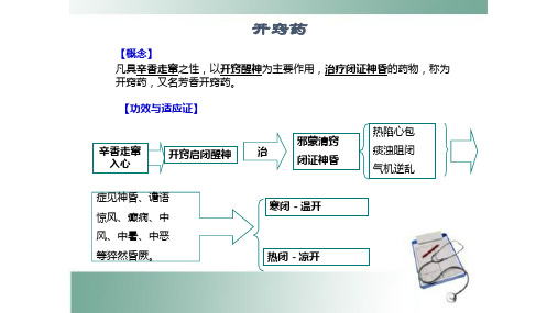 开窍药概述