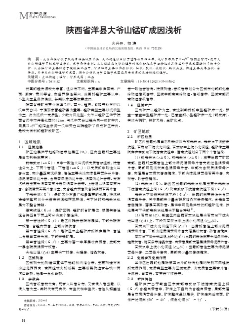 陕西省洋县大爷山锰矿成因浅析