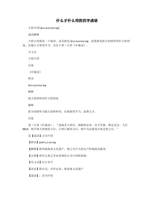 什么才什么用的四字成语