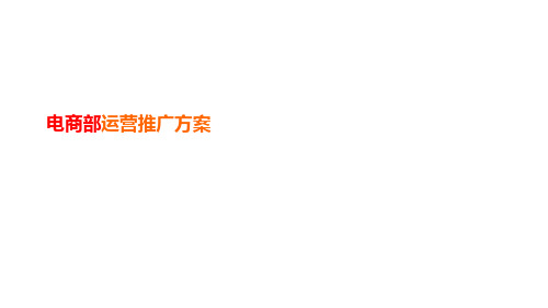 电商部营运推广方案