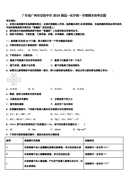 广东省广州市实验中学2024届高一化学第一学期期末统考试题含解析