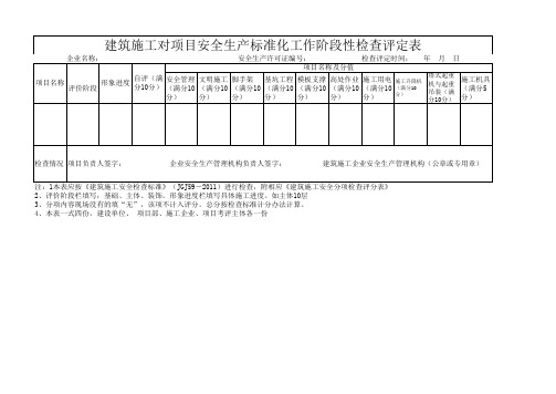 阶段性检查评定表