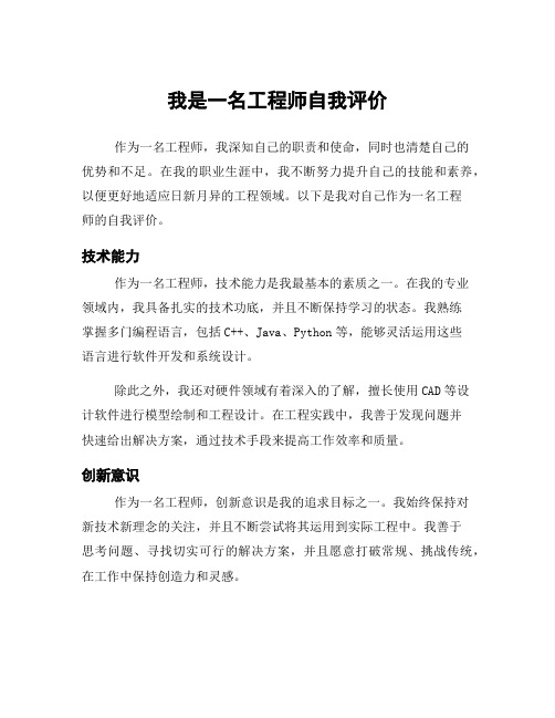 我是一名工程师自我评价