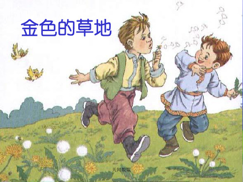 《金色的草地》教学课件(3 小学语文课件 三年级语文课件)