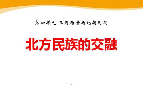 202X华师大版历史七年级上册第19课《北方民族的交融》ppt课件