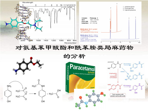 南医大药物分析第08章 对氨基苯甲酸酯类药物的分析ppt