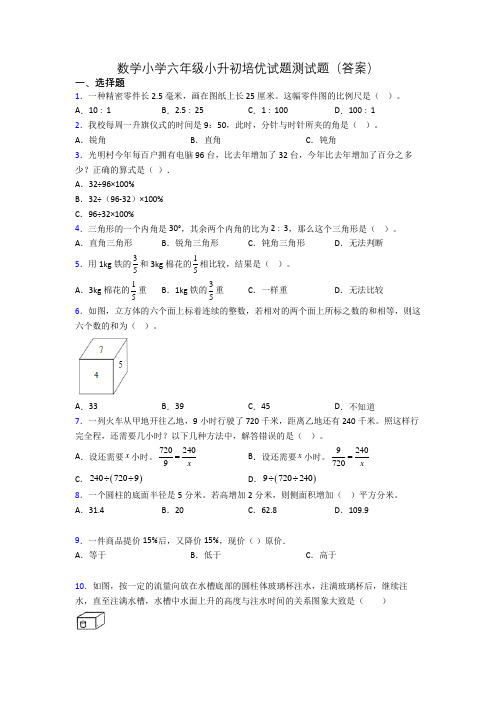 数学小学六年级小升初培优试题测试题(答案)