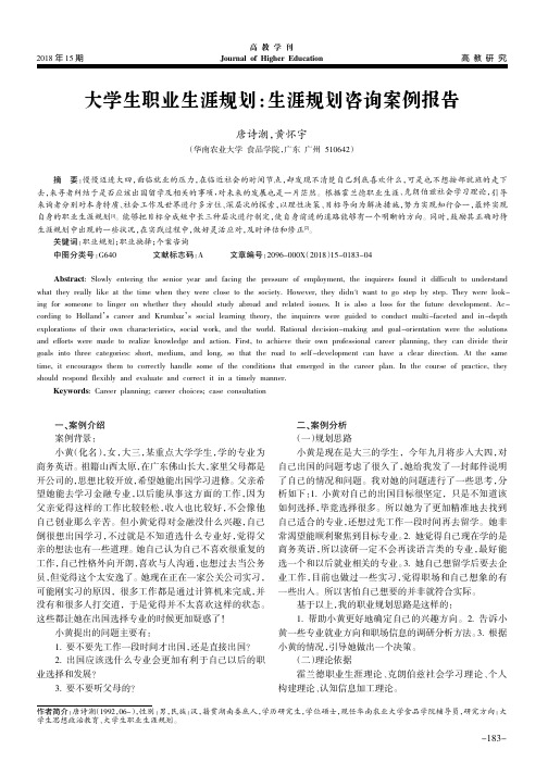 大学生职业生涯规划：生涯规划咨询案例报告