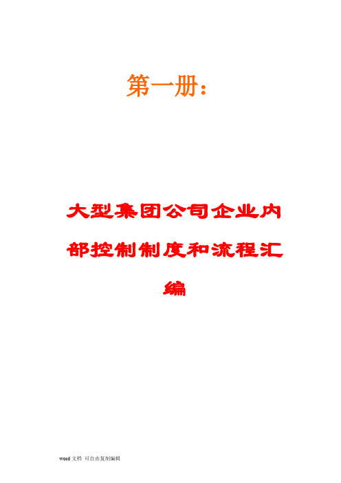 大型集团公司企业内部控制制度和流程汇编