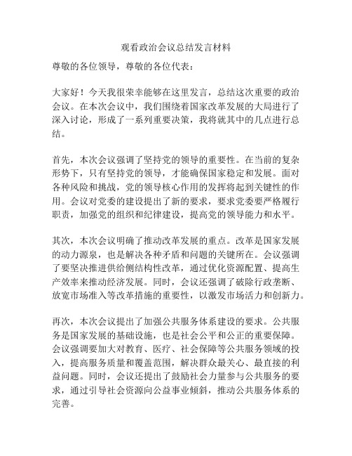 观看政治会议总结发言材料