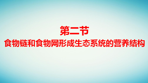 新教材高中生物第3章第2节食物链和食物网形成生态系统的营养结构pptx课件浙科版选择性必修2