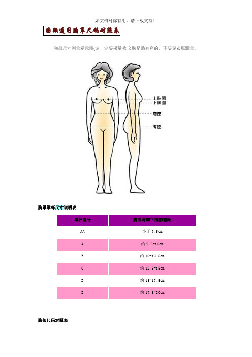 国际通用胸罩尺码对照表 及其他