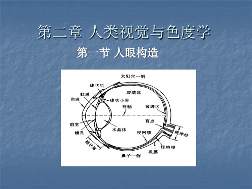 第二章 人类视觉与色度学