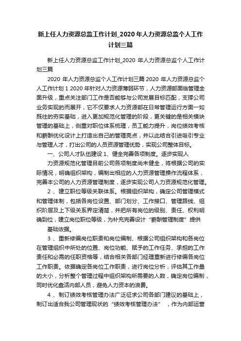 新上任人力资源总监工作计划_2020年人力资源总监个人工作计划三篇