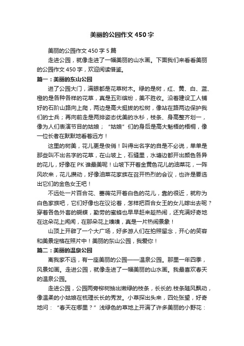 美丽的公园作文450字