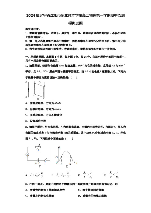 2024届辽宁省沈阳市东北育才学校高二物理第一学期期中监测模拟试题含解析