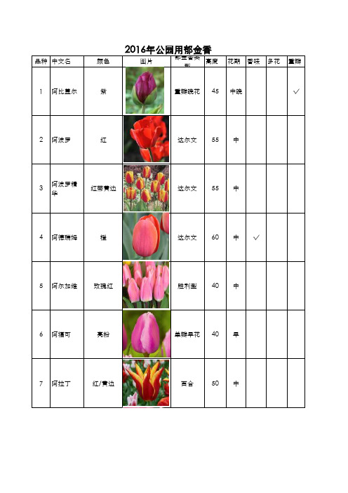 2016年郁金香品种规格花期大全