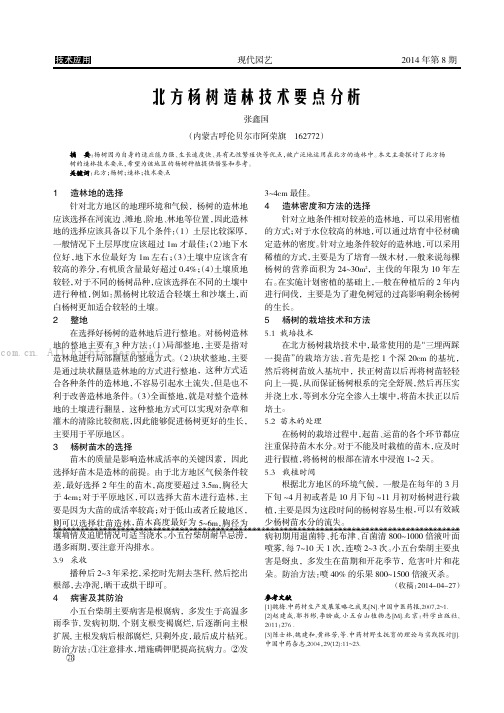 北方杨树造林技术要点分析