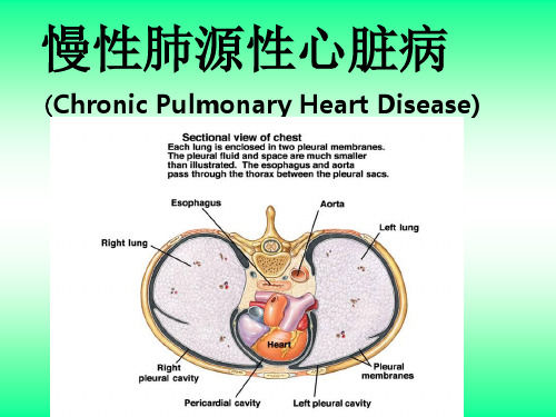 肺心病的护理