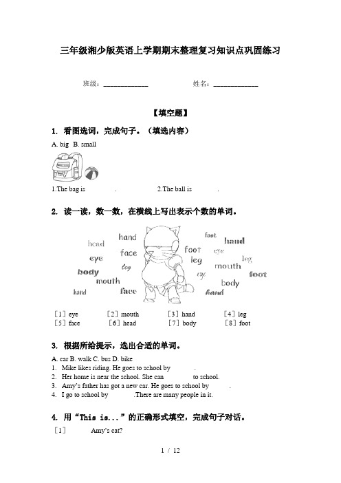 三年级湘少版英语上学期期末整理复习知识点巩固练习