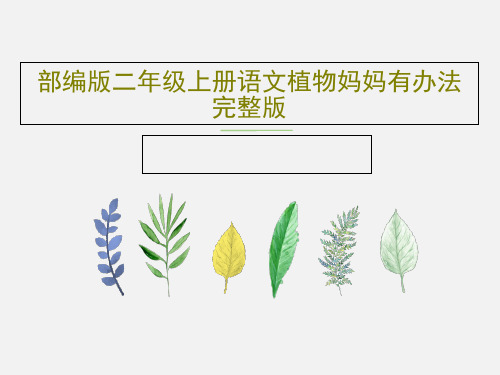 部编版二年级上册语文植物妈妈有办法完整版共37页