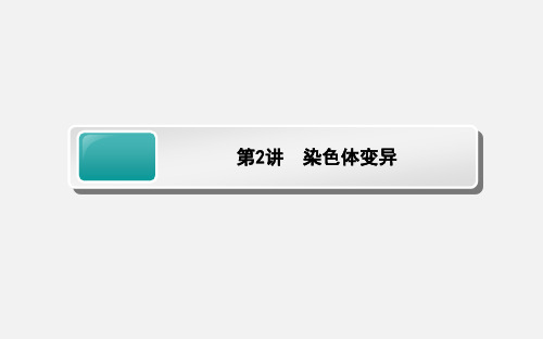 高考生物 一轮复习 5.2 染色体变异 新人教必修2